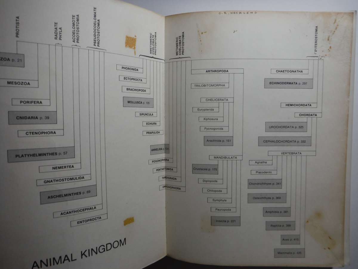 Practical Animal Anatomy - Softcover - C A J van Rensburg - 1980