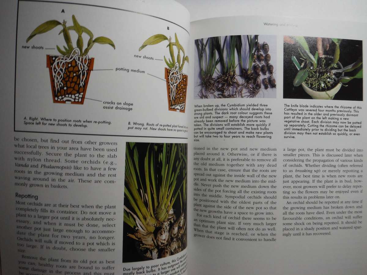Growing Orchids - Softcover - I.D. James