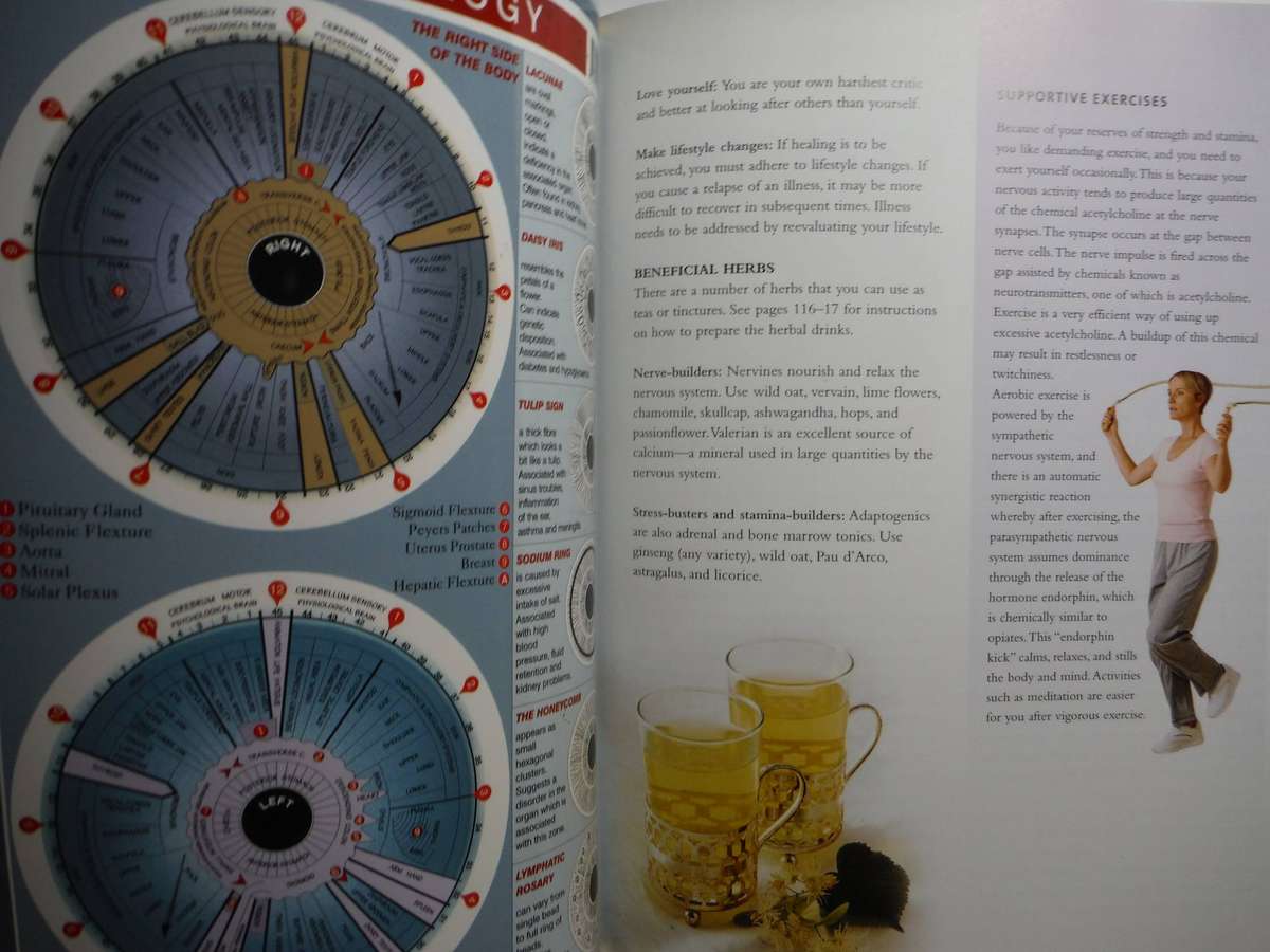 Practical Iridology - Softcover - Peter Jackson-Main