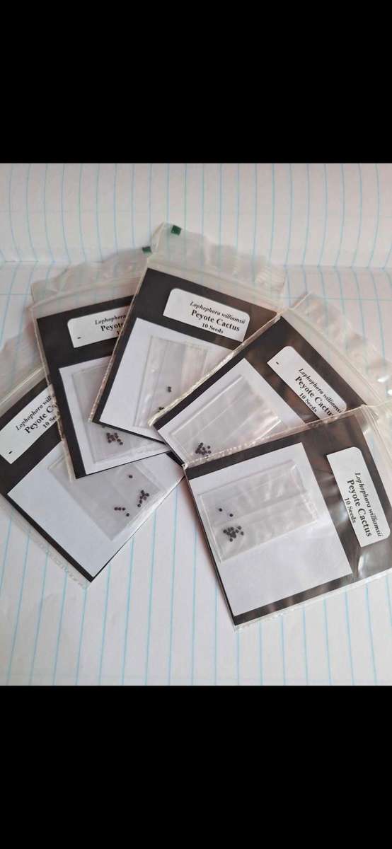 Lophophora williamsii (Peyote Cactus) 5x 10 Seed Pack SPECIAL OFFER!