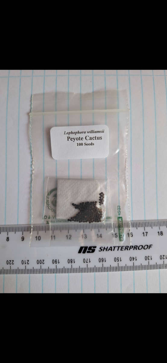 Lophophora williamsii cactus seed x100