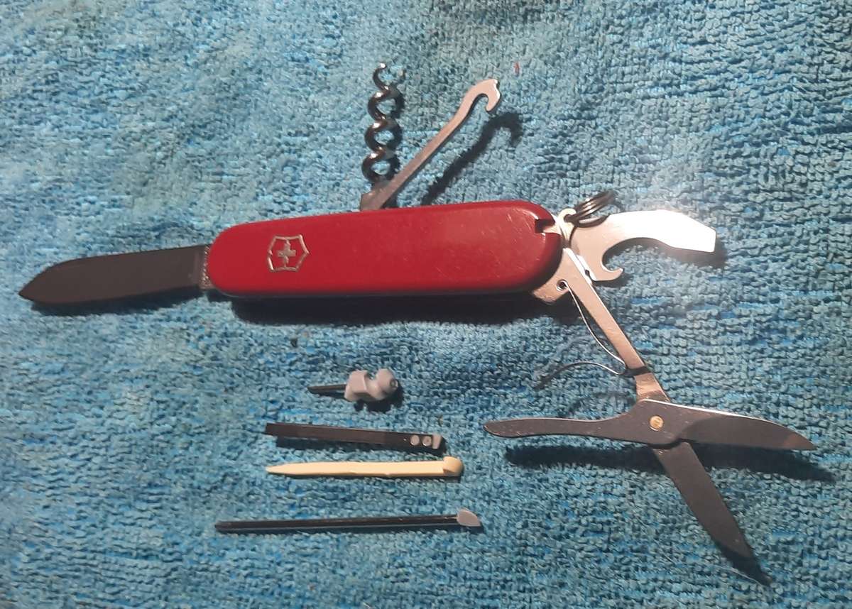Victorinox - Compact with Red Scales