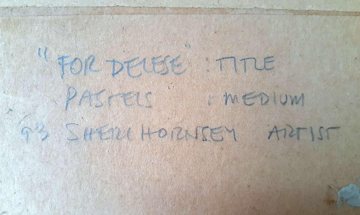 Original Framed Pastel Painting by SA Artist SHERI HORNSEY (dated 1993)