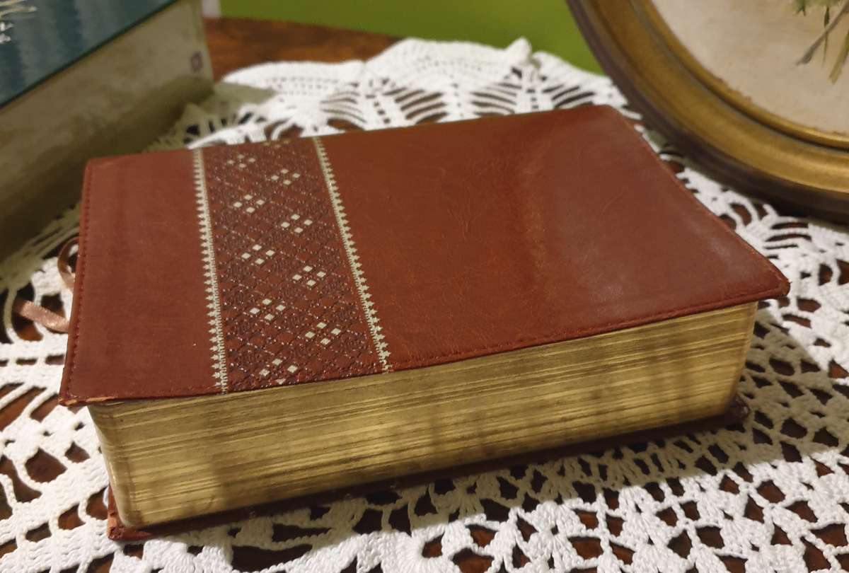 NLT Life Application Study Bible