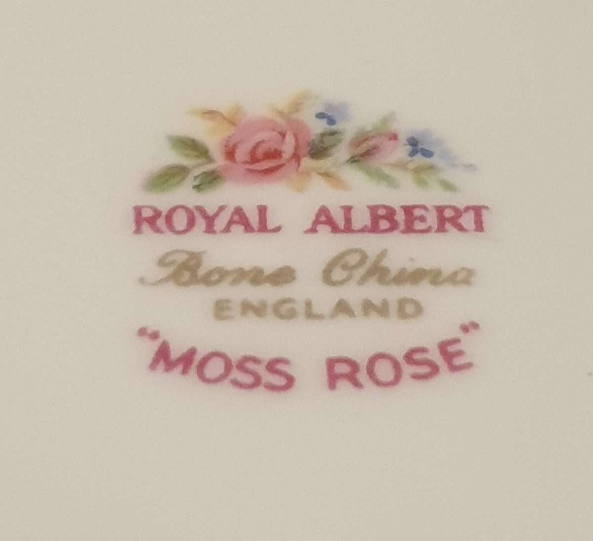 Moss Rose Beautiful Royal Albert Saucer