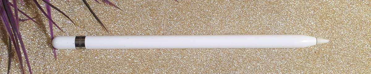 Apple Pencil (1st Gen)