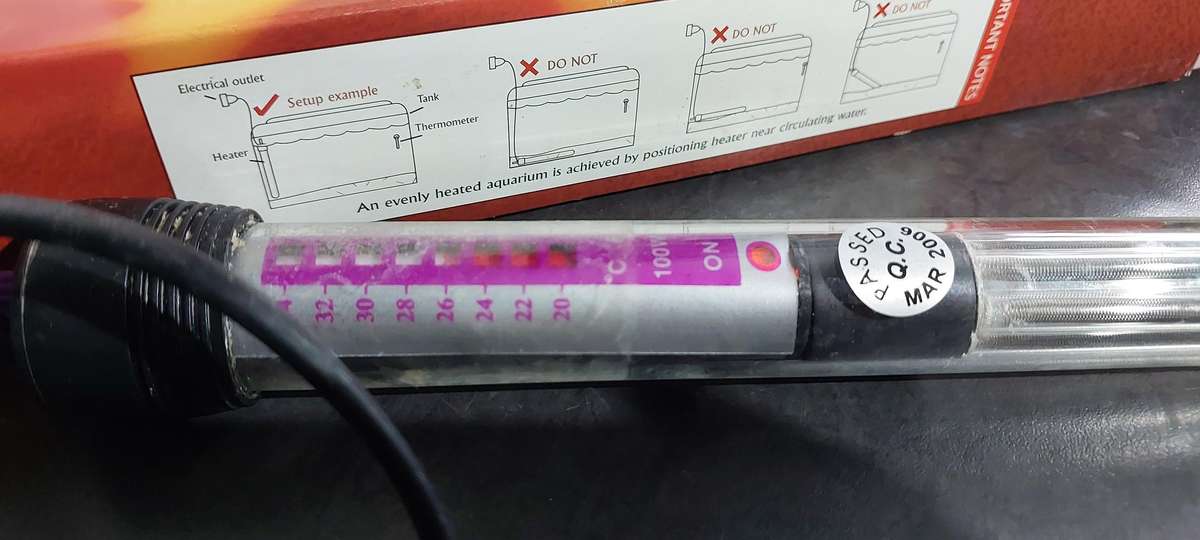 Via Aqua Glass 100 watt aquarium heater | 01 |
