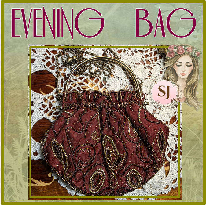MILADYS EVENING BAG