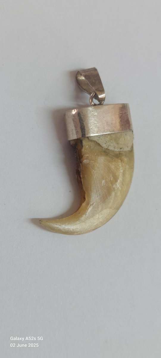 Rare vintage sterling silver lion claw pendant 2.9g