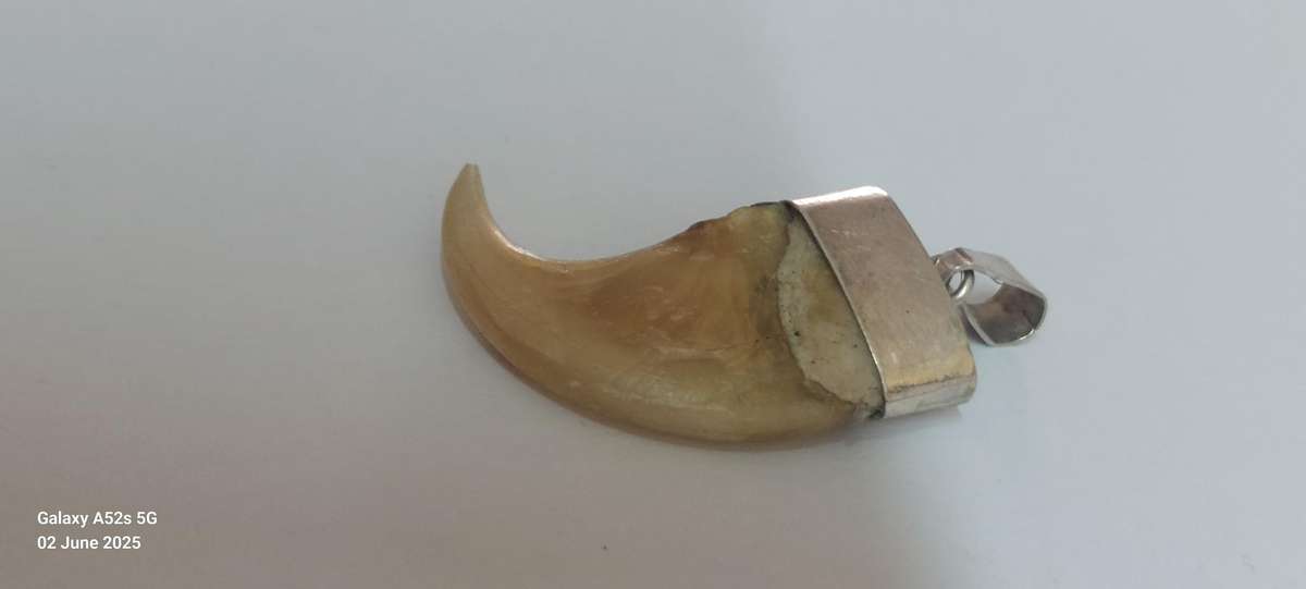 Rare vintage sterling silver lion claw pendant 2.9g