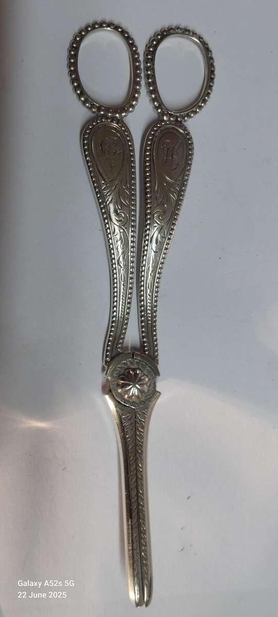 Very Rare!! 1888 Exeter silver grape scissors 86.7g Value R5500 WOW!!
