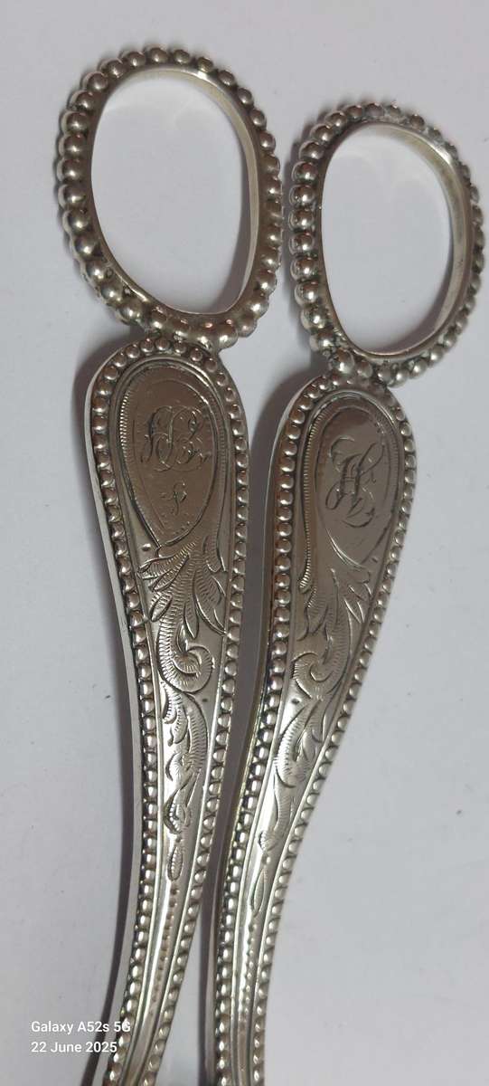 Very Rare!! 1888 Exeter silver grape scissors 86.7g Value R5500 WOW!!