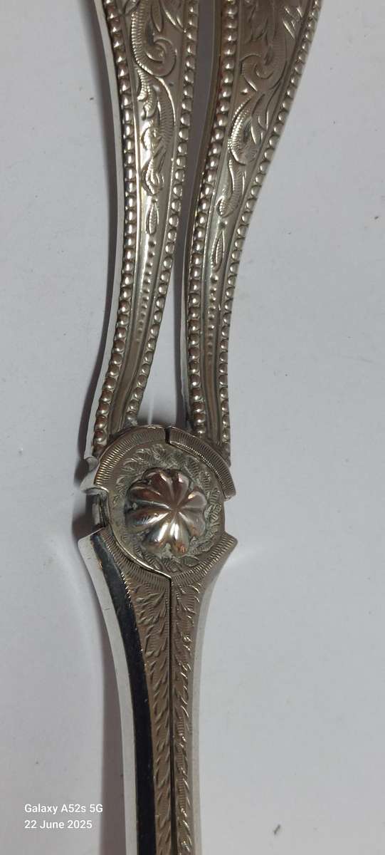 Very Rare!! 1888 Exeter silver grape scissors 86.7g Value R5500 WOW!!