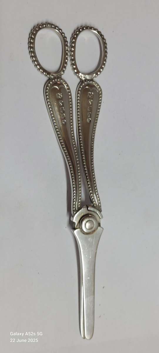 Very Rare!! 1888 Exeter silver grape scissors 86.7g Value R5500 WOW!!