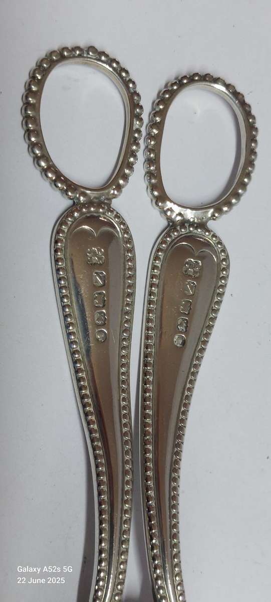 Very Rare!! 1888 Exeter silver grape scissors 86.7g Value R5500 WOW!!