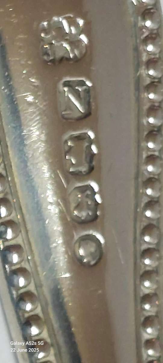 Very Rare!! 1888 Exeter silver grape scissors 86.7g Value R5500 WOW!!