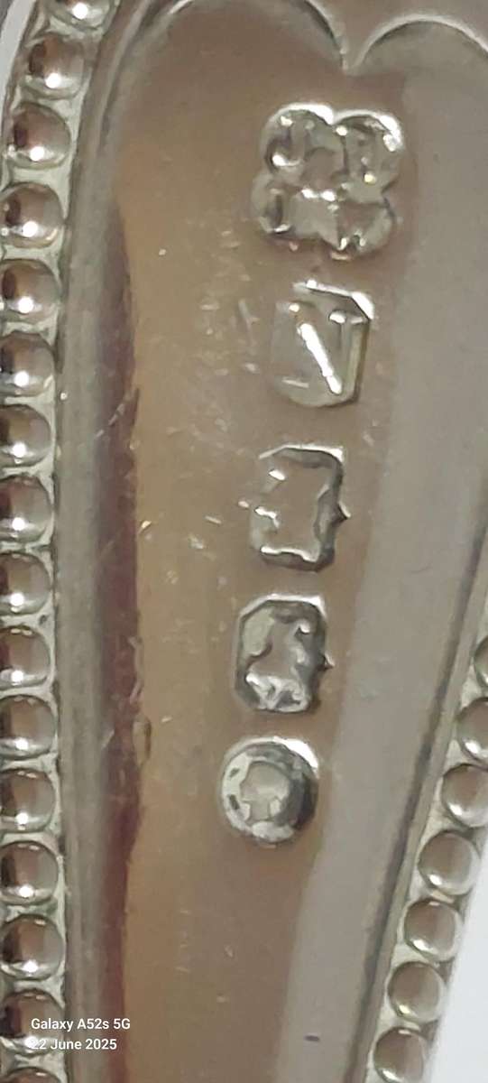 Very Rare!! 1888 Exeter silver grape scissors 86.7g Value R5500 WOW!!