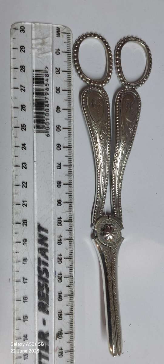 Very Rare!! 1888 Exeter silver grape scissors 86.7g Value R5500 WOW!!