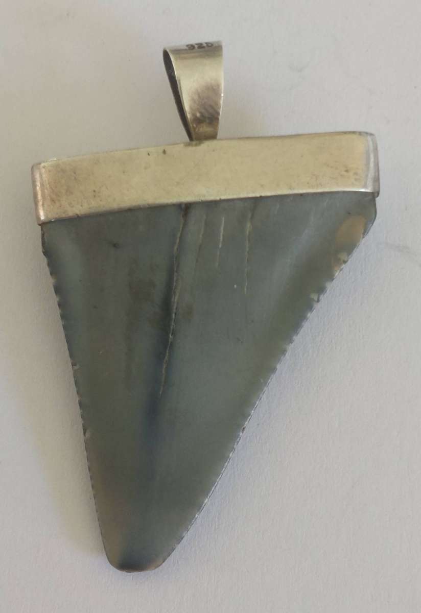 Amazing large vintage sterling silver fossilized shark tooth pendant 15.4g