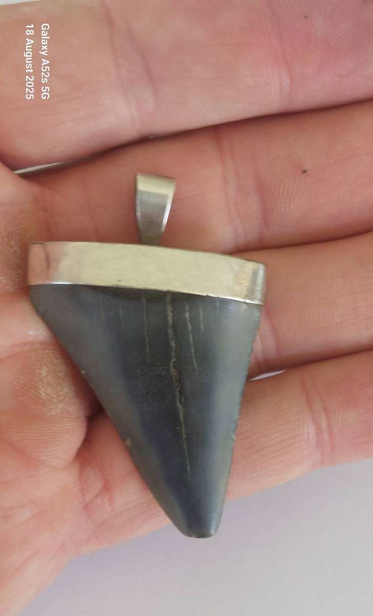 Amazing large vintage sterling silver fossilized shark tooth pendant 15.4g