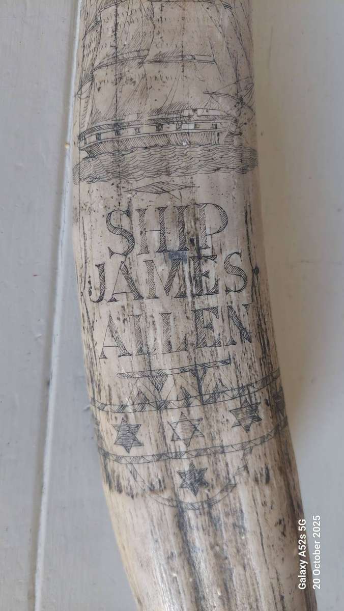 Wow!! Large James Allen marble resin reproduction skrimshaw tusk Value R2000