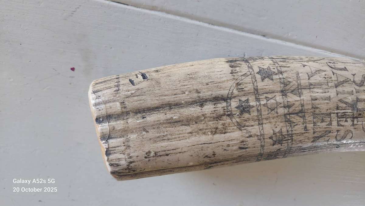 Wow!! Large James Allen marble resin reproduction skrimshaw tusk Value R2000