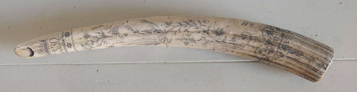 Wow!! Large James Allen marble resin reproduction skrimshaw tusk Value R2000