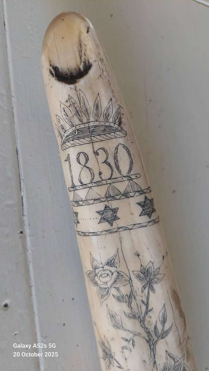 Wow!! Large James Allen marble resin reproduction skrimshaw tusk Value R2000