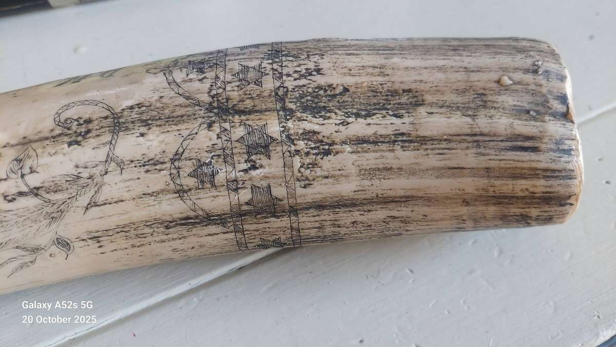 Wow!! Large James Allen marble resin reproduction skrimshaw tusk Value R2000