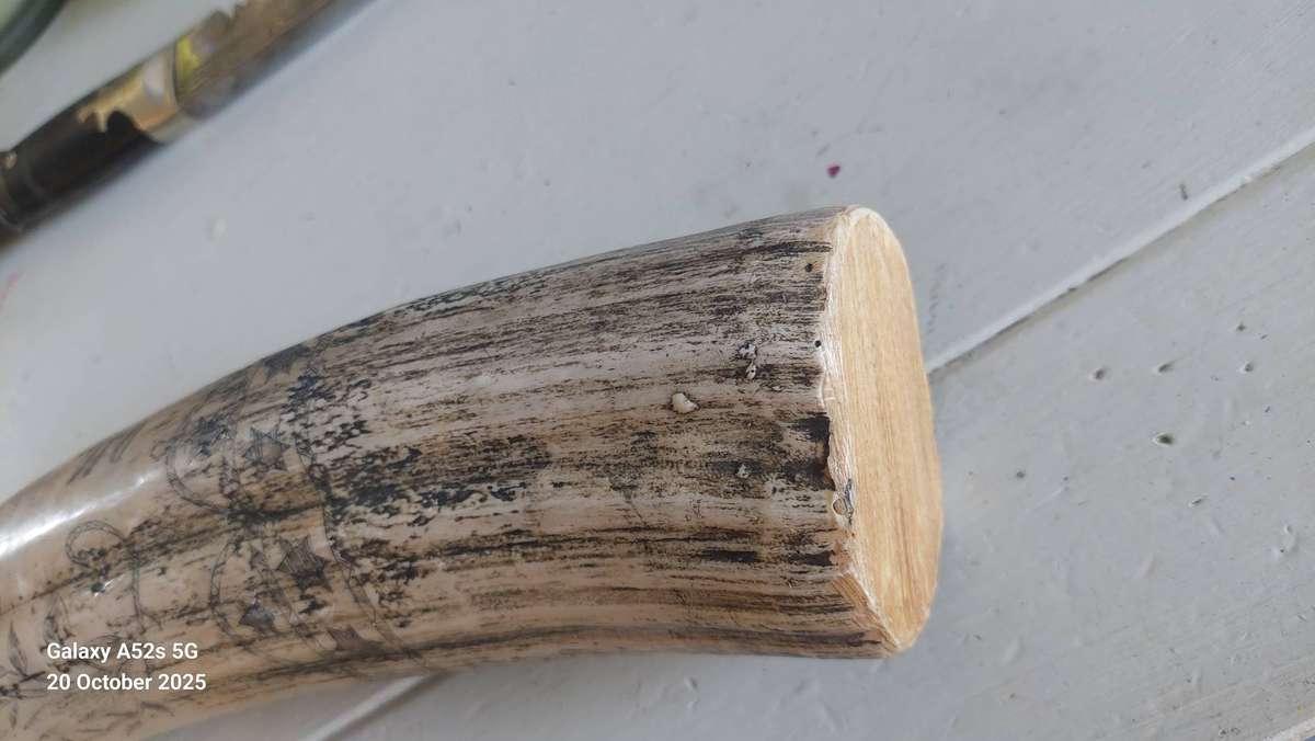 Wow!! Large James Allen marble resin reproduction skrimshaw tusk Value R2000