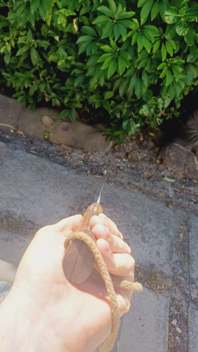 Large vintage Diamond Brand Machete (Panga) with wooden handle