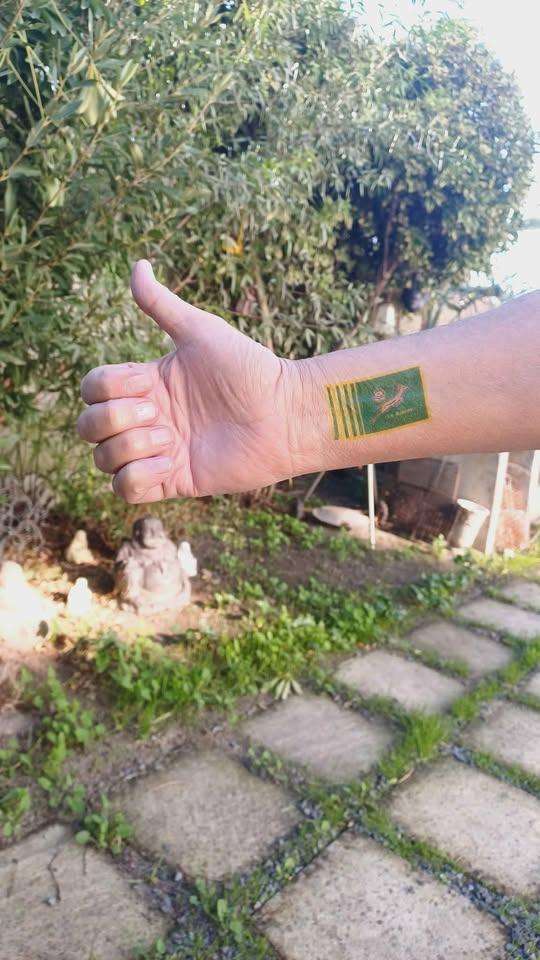 SA Rugby: 30 sheets of 6 facial stickers + 30 large stickers