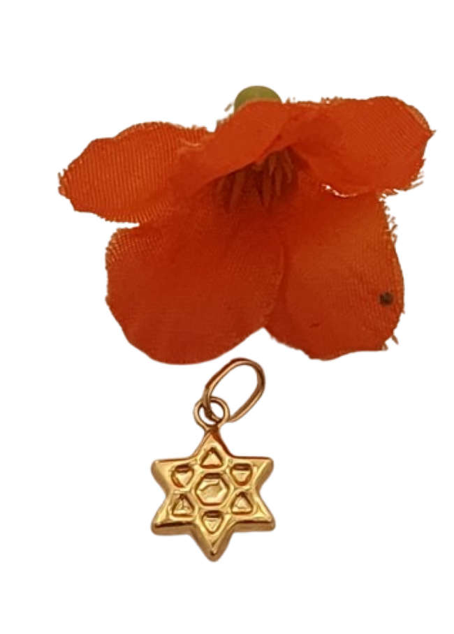 9ct Yellow Gold Star of David Charm Pendant