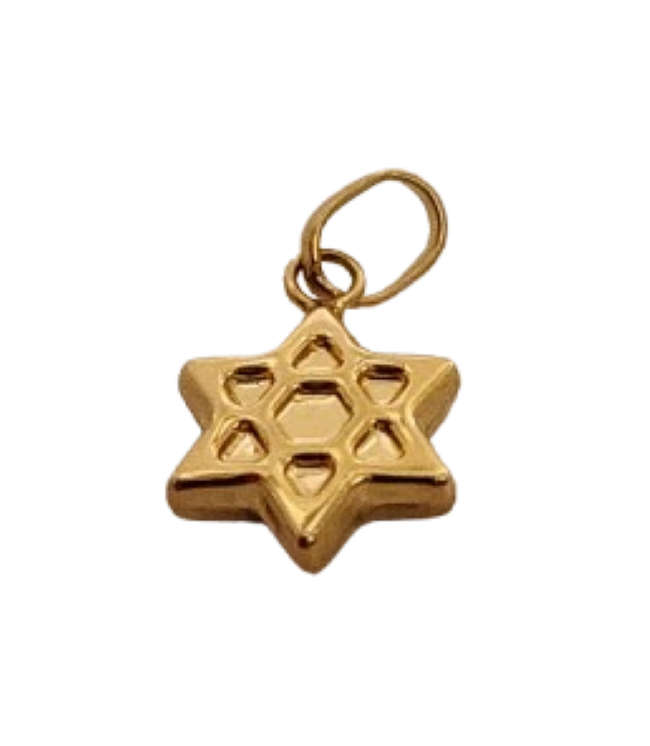 9ct Yellow Gold Star of David Charm Pendant