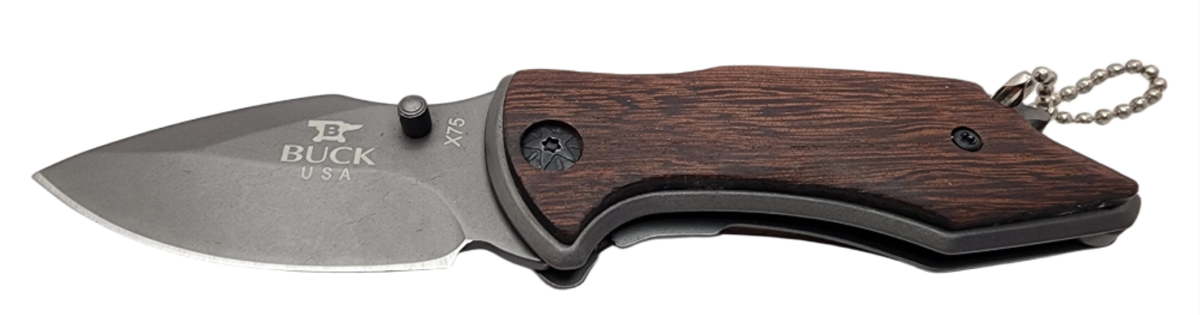 Buck Compact Folding Knife