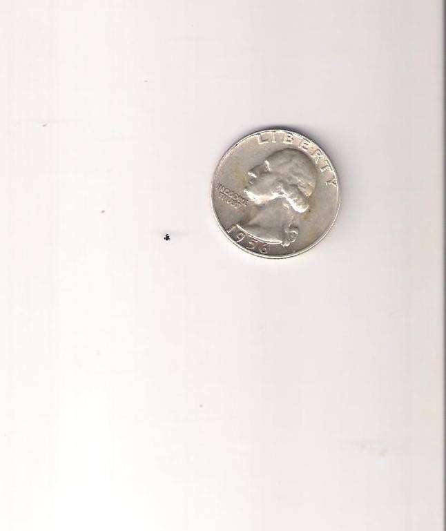 USA Quater Dollar 1956