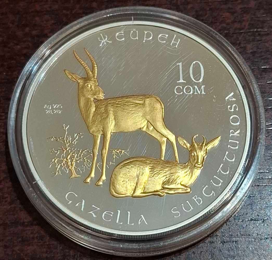 2013 10 Som silver coin from Kyrgyzstan