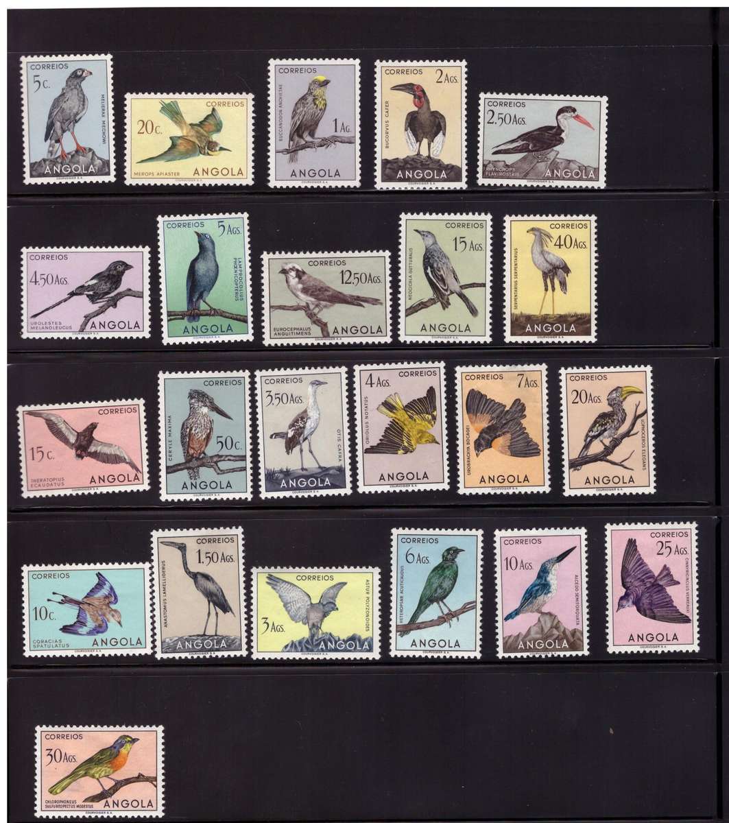 Angola - 1951 Birds - UMM, HR - 50 AGV NOT INCLUDED