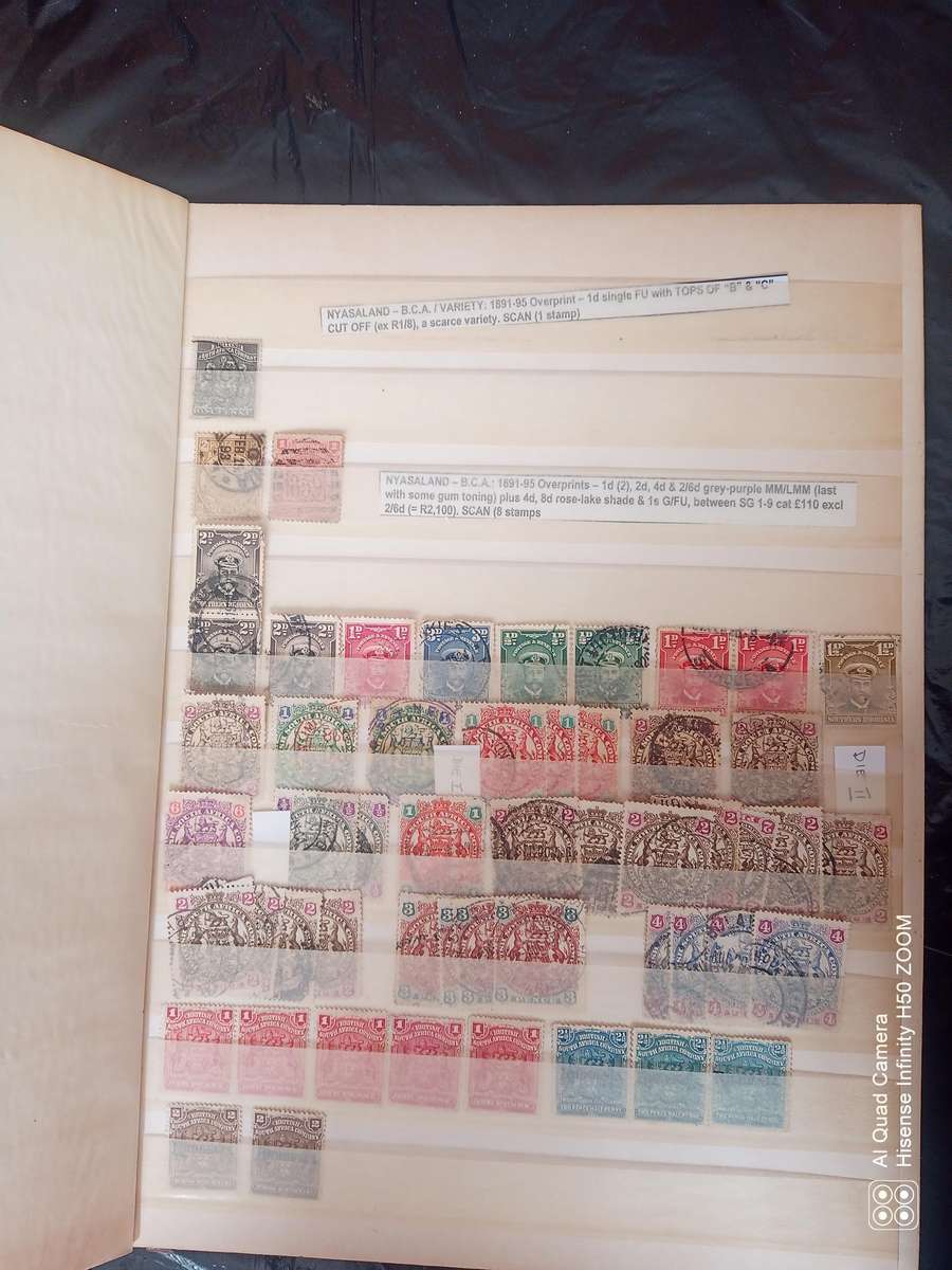 Rhodesia, Nyasaland & Zimbabwe in 2 x 8 pages stock books