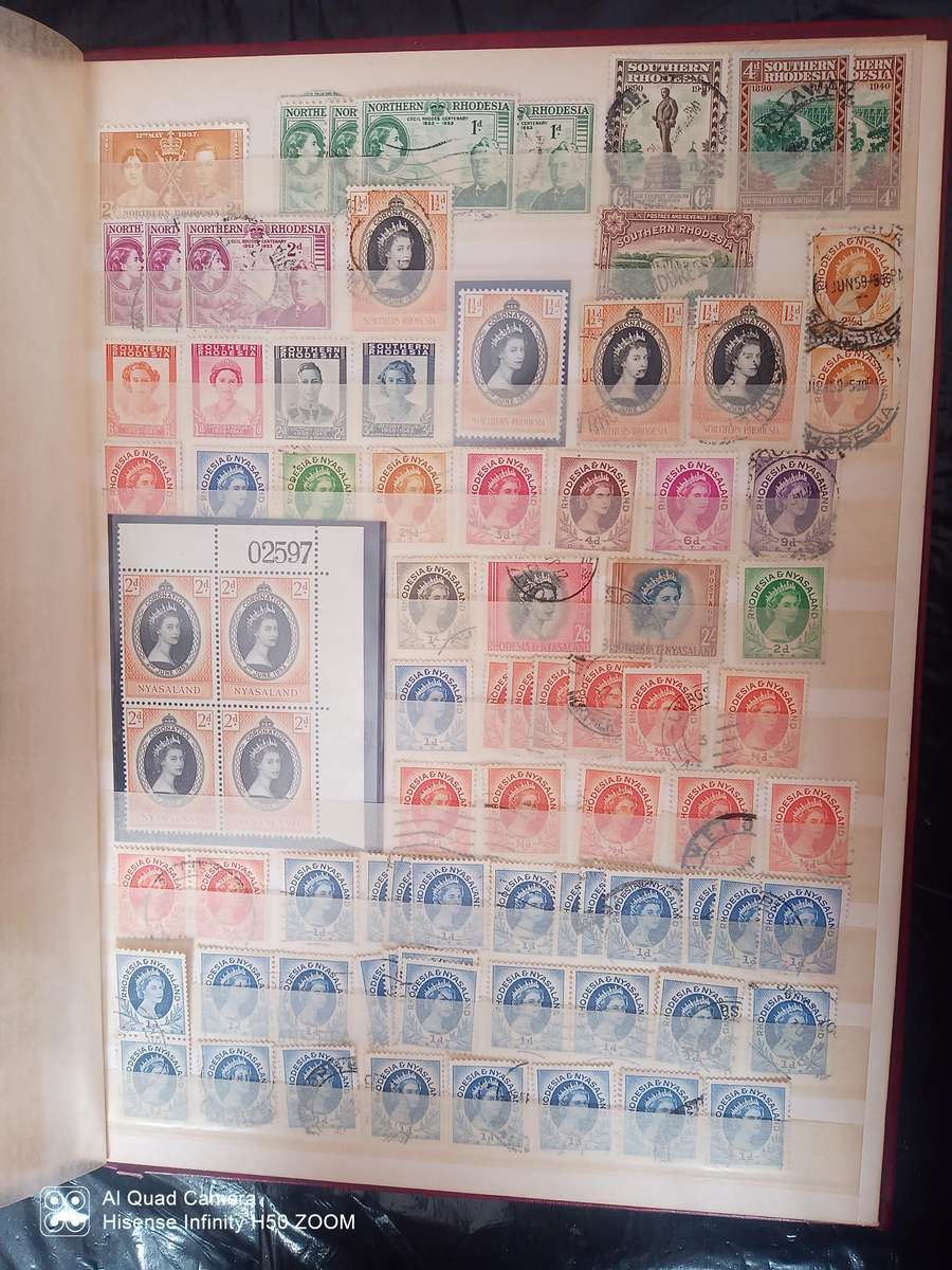 Rhodesia, Nyasaland & Zimbabwe in 2 x 8 pages stock books