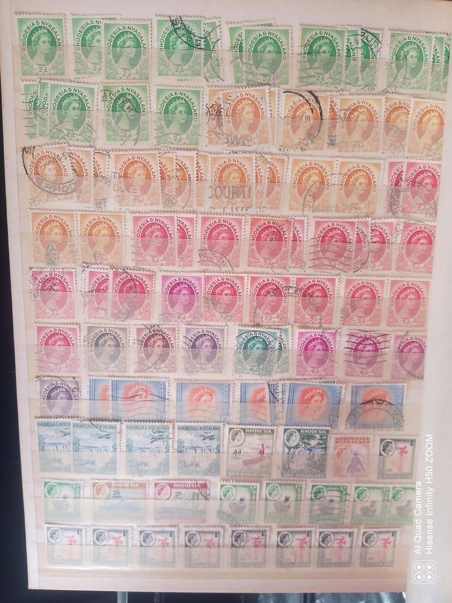 Rhodesia, Nyasaland & Zimbabwe in 2 x 8 pages stock books