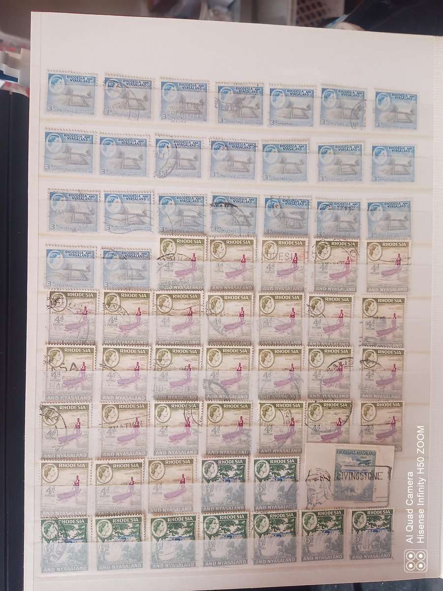 Rhodesia, Nyasaland & Zimbabwe in 2 x 8 pages stock books