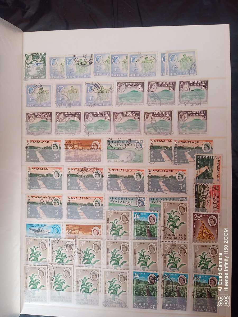 Rhodesia, Nyasaland & Zimbabwe in 2 x 8 pages stock books