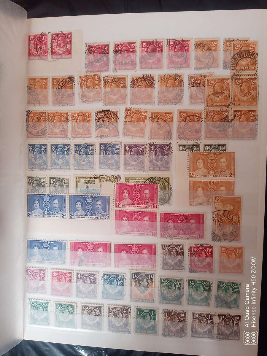 Rhodesia, Nyasaland & Zimbabwe in 2 x 8 pages stock books