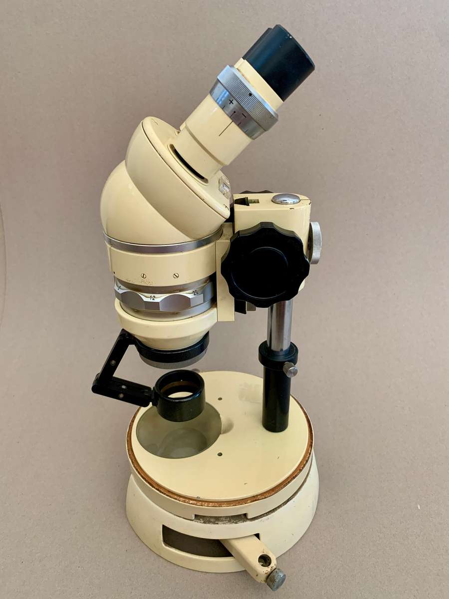 Wild Heerbrugg M5 Stereomicroscope