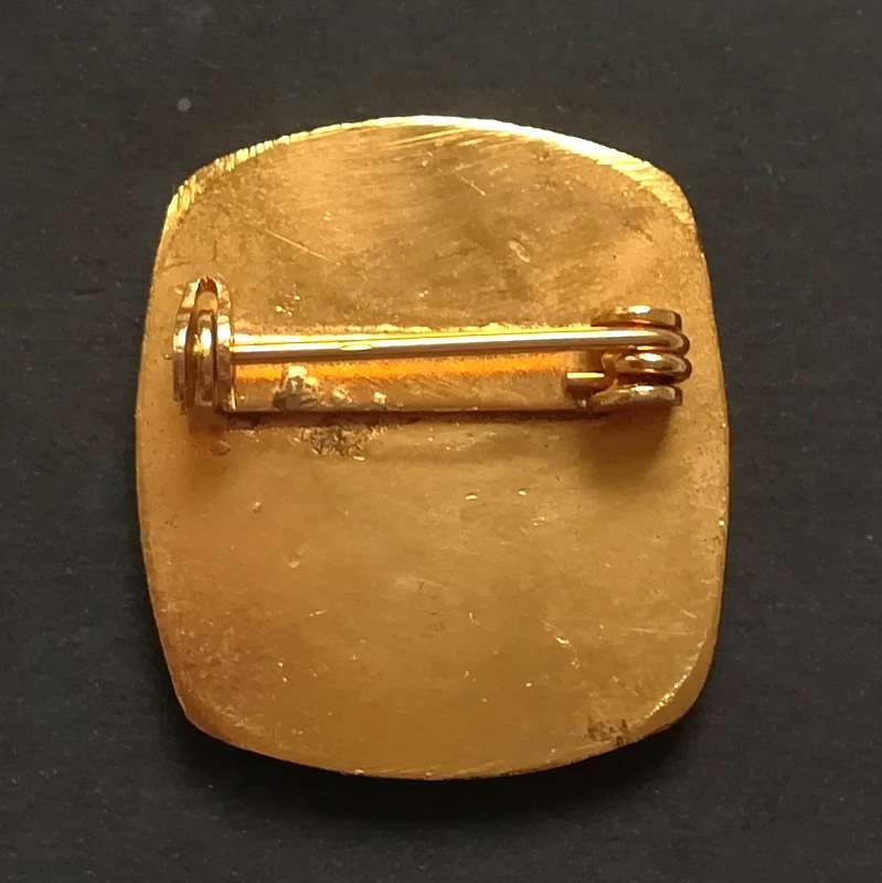 SPRINGBOKS OLD FLAG PIN BADGE 24X26MM