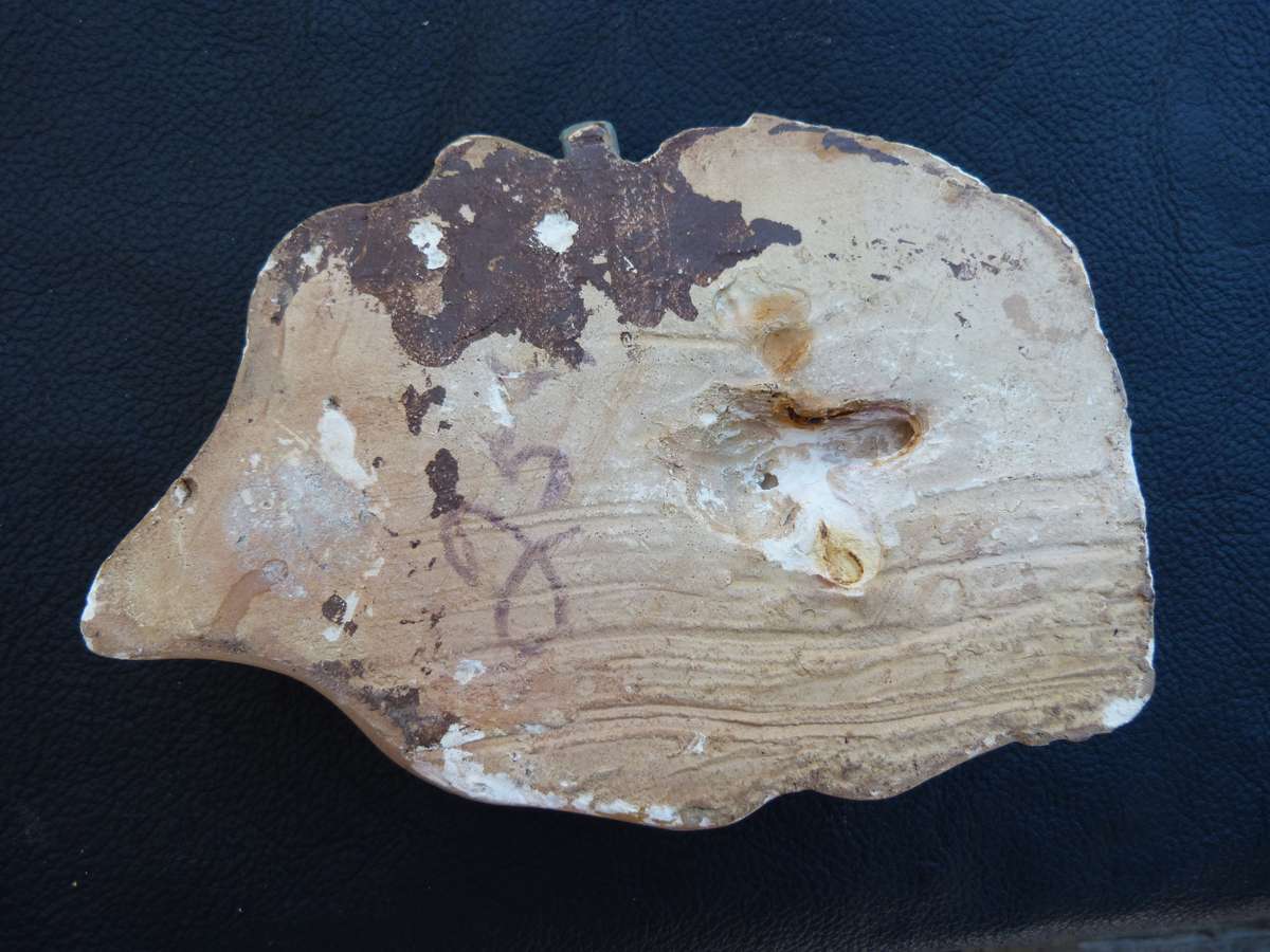 Wall Plaque. Ladies Face.