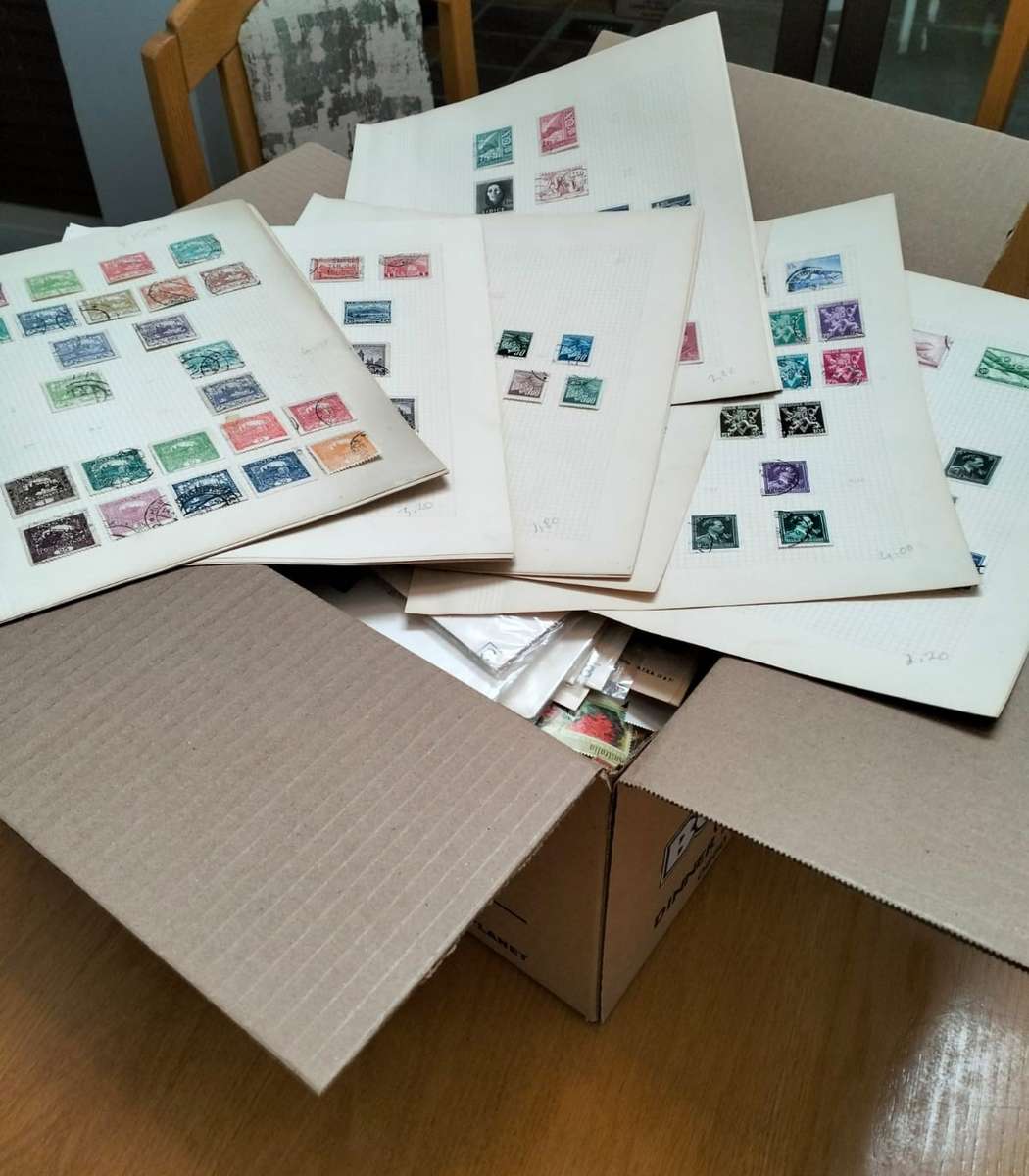 BUMPER WORLD BOX (4,4 KGS)