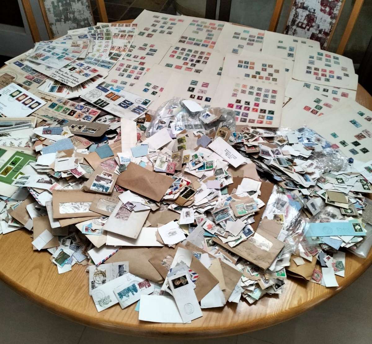 BUMPER WORLD BOX (4,4 KGS)