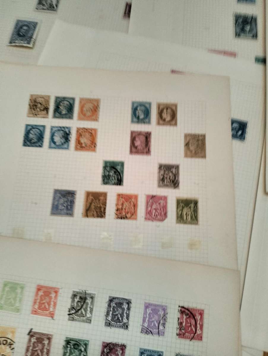 BUMPER WORLD BOX (4,4 KGS)